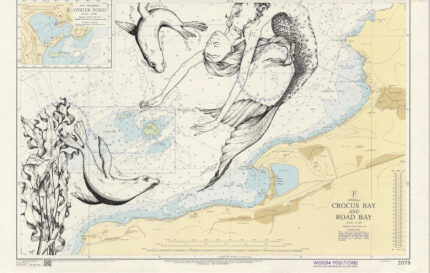 maritime chart art mermaid and seals